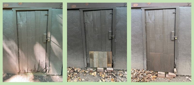 The photo depicts three photos of the same door. It is an old wooden door to a crawl space under a 100 year old house. The first photo shows the bottom part of the door with rotted sections. The second photo shows where it has been replaced with cedar boards.  The third photo shows it nicely painted.