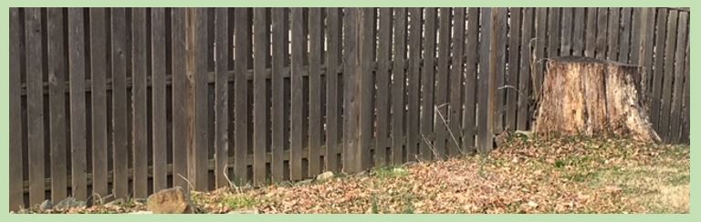 The photo depicts an old fence and a stump. 